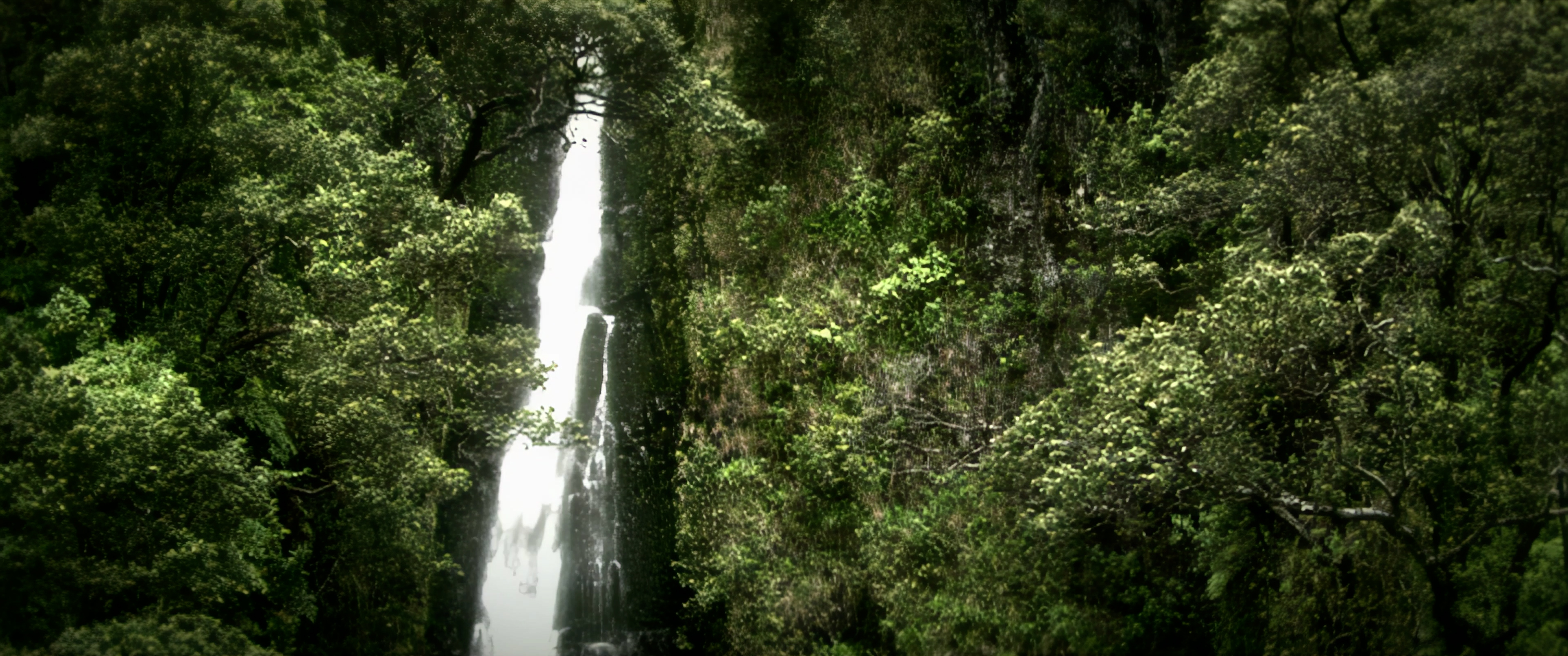 Waterfall in a forest. I Believe establishing shot