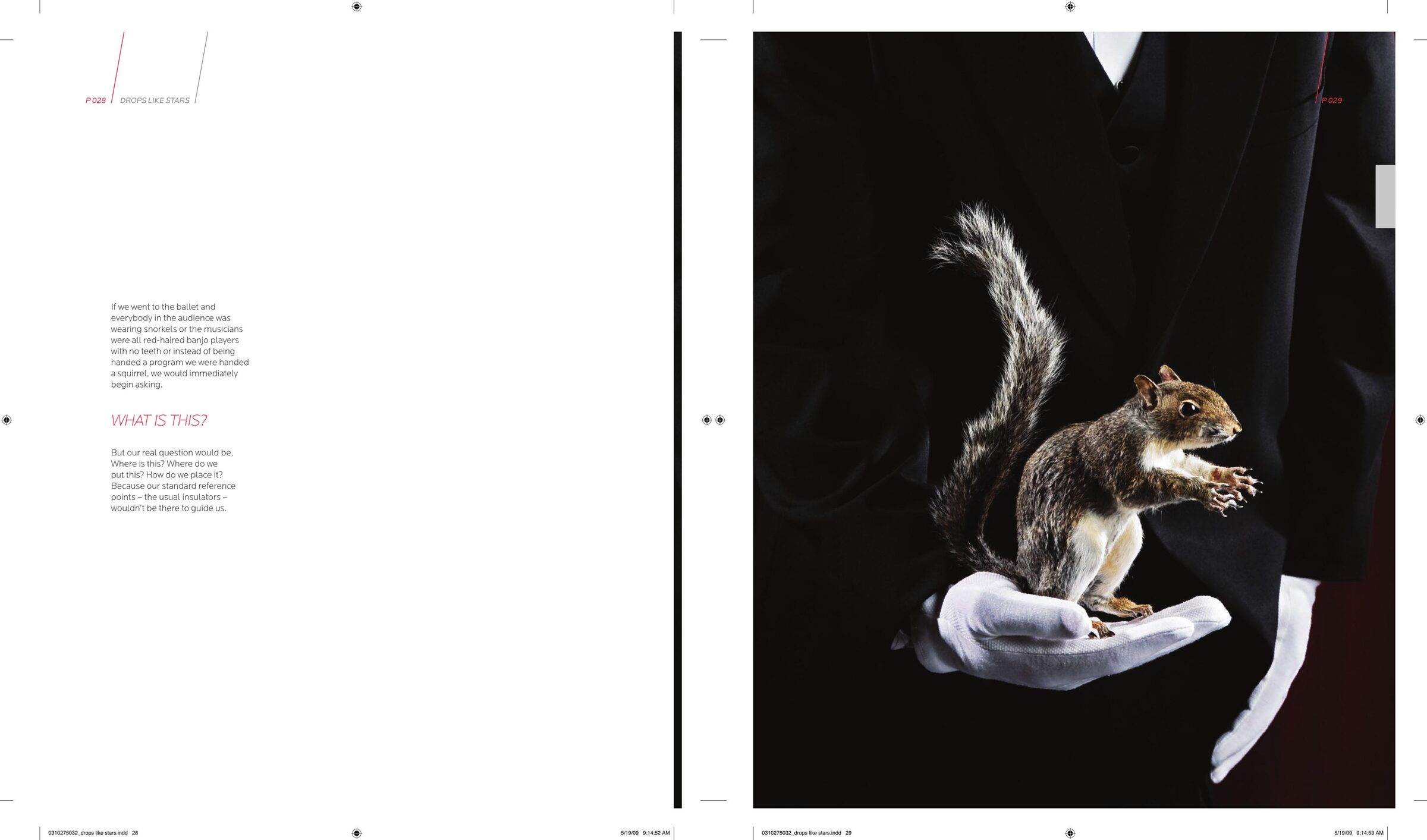 Drops Like Stars by Rob Bell. Two-page spread, pages 28 and 29, featuring Taylor Gahm's commissioned photograph.