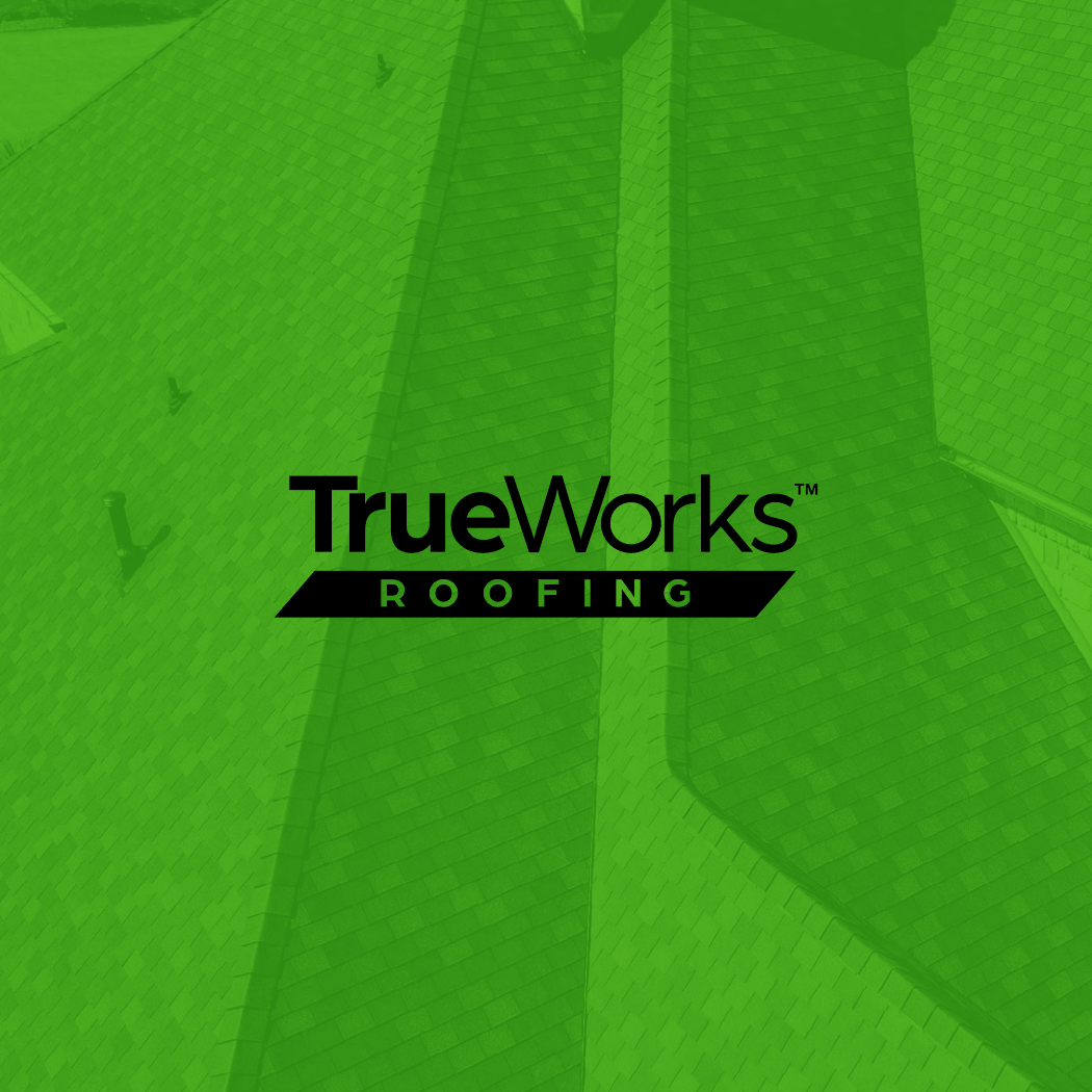 TrueWorks brand guidelines. Cover