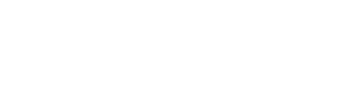 Photoflex logo
